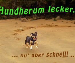 Hundherum lecker. Logo