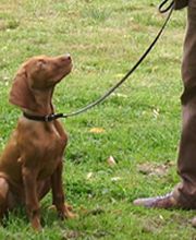 Aufpassen für Anfänger