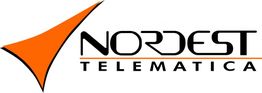 Logo di Nordest Telematica con un triangolo arancione stilizzato.