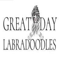 "Logo with text 'Great Day Labradoodles' and an illustration of a Labradoodle."