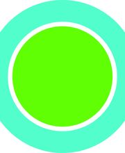 Naturheilpraxis Logo