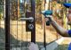 Person fixing a gate lock with a drill in an outdoor setting with trees in the background.