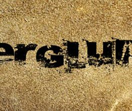 BERGLUFT Logo