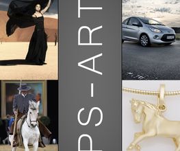 PS-ART Logo