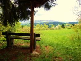 Bank mit Blick auf grüne Wiese und Hügel im Hintergrund, unter schattigem Baum.