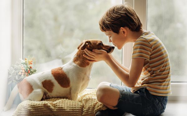 Tierbedarf: Alles für Ihr Haustier