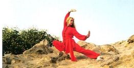 Person in rotem Anzug macht Kampfkunstpose auf Felsen vor blauem Himmel.