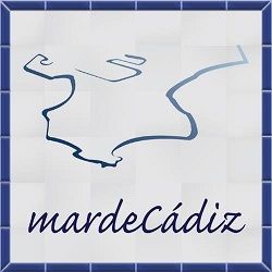 Esquema azul de Cádiz con el texto "mar de Cádiz" en el centro sobre un fondo cuadriculado.