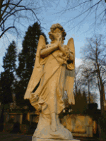 Engelsstatue mit gefalteten Händen vor Bäumen und blauem Himmel.
