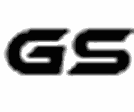 GS-Limousine Logo