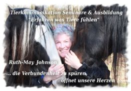Ältere Frau lächelt zwischen zwei Pferden, umgeben von Text über Tierkommunikation.