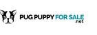 Logo with text "Pug Puppy For Sale.net" and a black and white image of a pug's face.