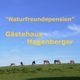 Pferde grasen auf grüner Wiese unter blauem Himmel, Text: "Naturfreunde Pension Gästehaus Hagenberger".
