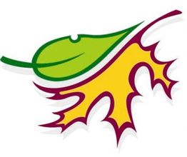 Two stylized leaves overlap, one green and the other yellow with red edges, on a white background.