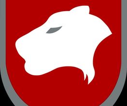 TIGER VISION Logo