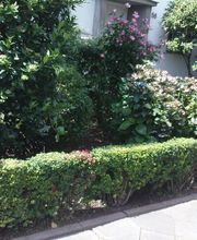Gartenpflege