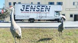 Two birds stand on grass with a Jensen moving truck in the background.