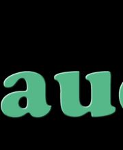 fotostudio bauersachs Logo