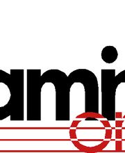 Kamin-Online Logo