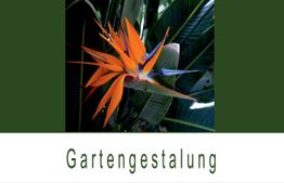 Blüte einer Paradiesvogelblume mit leuchtend orangefarbenen und blauen Blütenblättern.