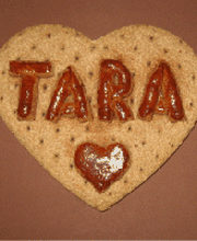 Geburtstagskuchen für Hunde