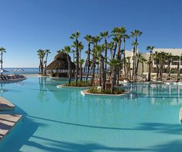 Piscina amplia con palmeras, tumbonas y vista al mar en un clima soleado.