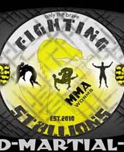 Fighting Stallions Logo