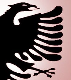 Schwarzer Adler auf rosa Hintergrund, stilisiert mit ausgebreiteten Flügeln.
