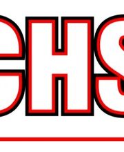 Flechsing Pflaster und Landschaftsbau Logo