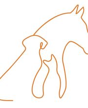 Das bewegte Tier - Tierphysiotherapie | Osteopathie | Chiropraktik Logo