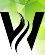 Webdesign Agentur Daniel Wom Logo
