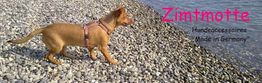 Kleiner Hund am Kiesstrand mit Geschirr, daneben Text "Zimtmotte: Hundaccessoires Made in Germany".