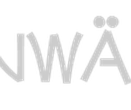 Manuel Steiner Malermeister Logo