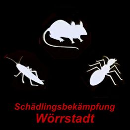 Schattenbilder von Maus, Termite, Kakerlake mit rotem Text: Schädlingsbekämpfung Wörrstadt.