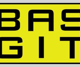 BASGIT Logo