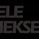 "Logo van Mobiele Optiekservice met rode bril in de tekst."
