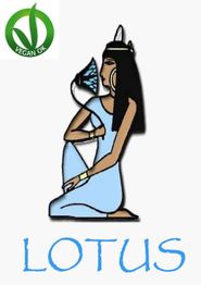 Donna con fiore di loto, testo "LOTUS", marchio Vegan OK verde in alto a sinistra.
