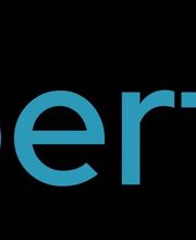 Robert Janus Digitalberatung Logo