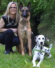 Hundeschule-Welpenschule Petra Wahl Logo