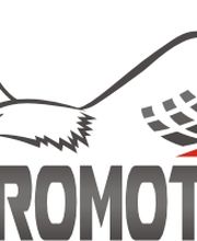 FT-PROMOTIONS Logo