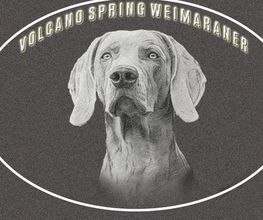 Volcano Spring - Weimaraner Züchter Logo