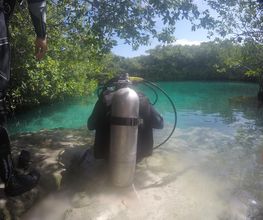 Persona con equipo de buceo junto a lago cristalino rodeado de vegetación.