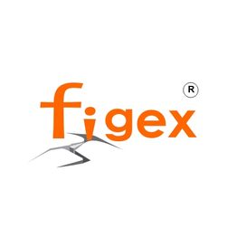 Logotipo de "figex" naranja con registro y líneas en gris simulando grietas.