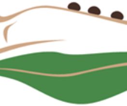 die mobile Oase Logo