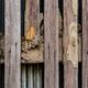 Weathered wooden planks with peeling paint and damage, revealing underlying textures.
