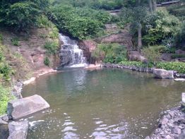 Kleiner Wasserfall fällt in einen Teich, umgeben von üppigem Grün und Steinen.