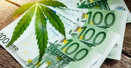 Mehrere 100-Euro-Scheine mit einem großen Hanfblatt darauf, auf einem Holztisch liegend.