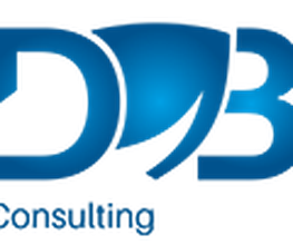 Daniel Blinzler Consulting Logo