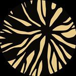 Abstract circular pattern with beige wavy lines on a black background.