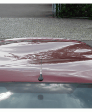 Focus Delle Dach vorher